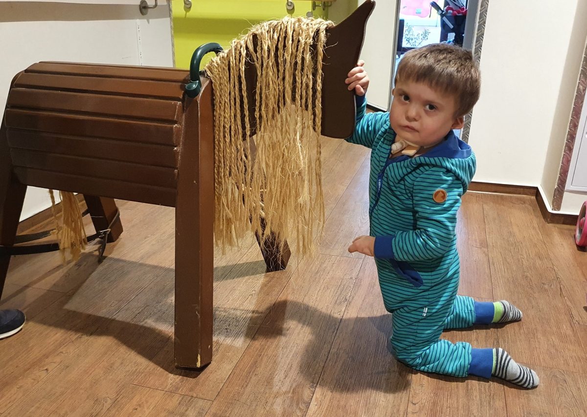 2020 - "Tierische" Begleitung